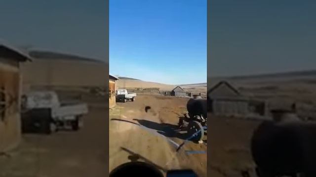 Погрузка пиломатериалом из деревни Метляева в Балаганском районе Иркутской области смотреть онлайн