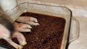 ФОРЕЛЬ В СОЕВО-МЕДОВОМ МАРИНАДЕ ЗАПЕЧЕННАЯ В ДУХОВКЕ