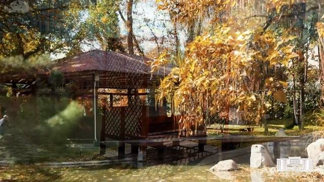 «В ритме города»: Локации для осенних фотосессий смотреть онлайн