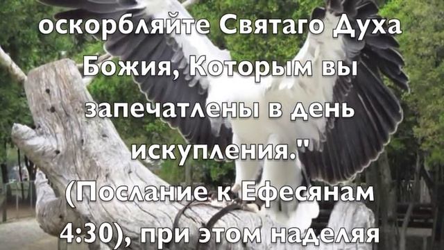 Насчёт даров Духа Святого. смотреть онлайн