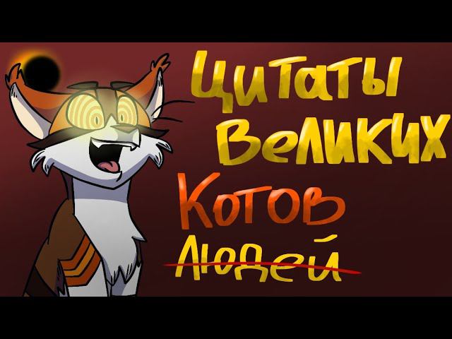 Цитаты великих людей Meme//Warriors Cat's// Sol