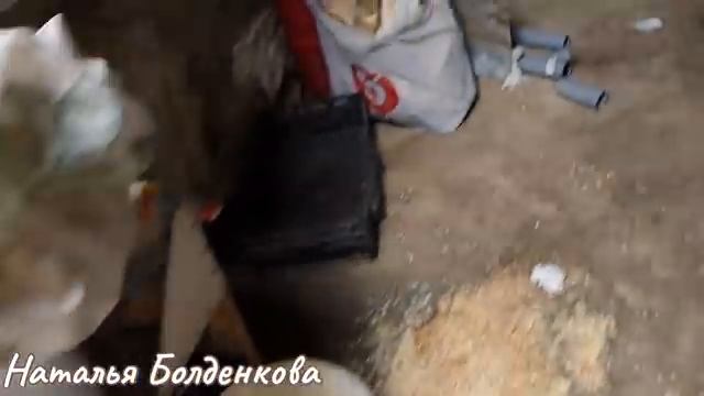 Садовод-профессилнал?//Работаю в теплице//Кошу газон//Уборка перепелятника смотреть онлайн