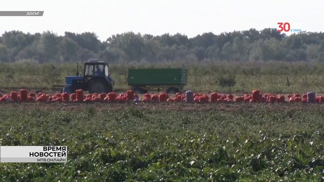 Аграрии прогнозируют урожай зерновых в Волгоградской области на уровне 7 млн тонн смотреть онлайн