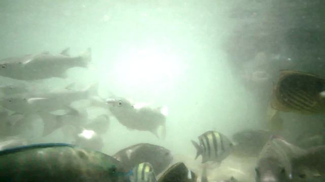 Красное море. смотреть онлайн