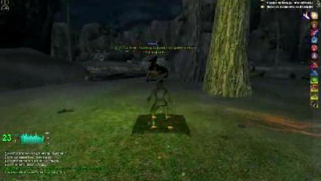 EverQuest II   PvP