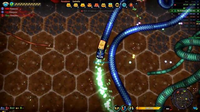 ?Ⓛittle Ⓑig Ⓢnake?High speed in an EPIC game.?Lots of nectar And CROWNS!!? смотреть онлайн