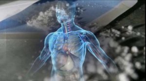 Белковый яд Рицин. Что такое Рицин?