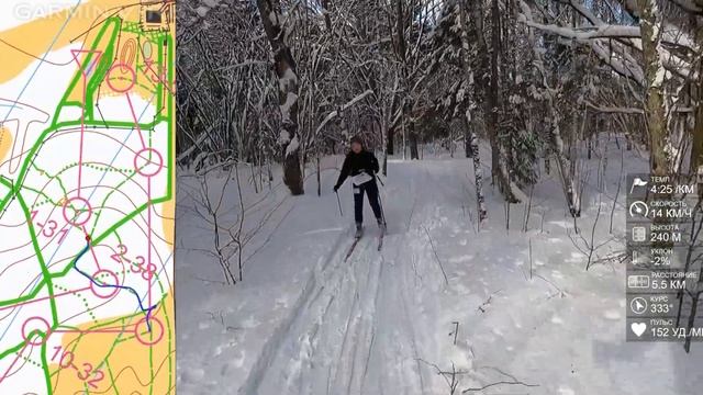 Спортивное ориентирование на лыжах (Ski-O) - ЧиП Смоленской области, Каменка - 12.02.2023 смотреть онлайн