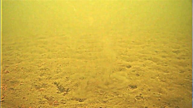 Зимняя рыбалка в Поморцево подводное видео смотреть онлайн