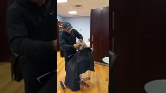 Чарли любит модно стричься