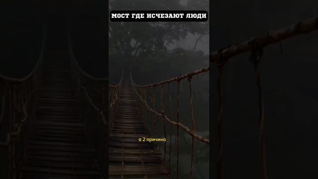 Мост где пропадают люди #fact #топ #travel #war #история #shorts смотреть онлайн