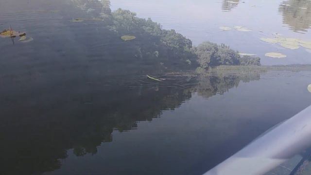 ЩУКА НА ВОБЛЕР РУДРА ( Rudra)