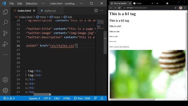 let’s use CSS in HTML | In Sinhala with English Subtitles | In 2021 in 20 minutes смотреть онлайн