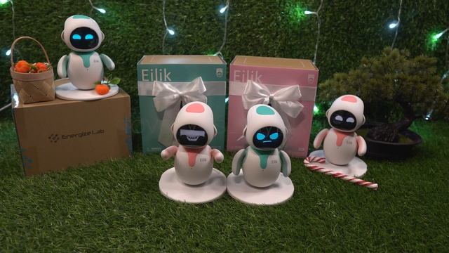 Два Eilik, Два робота Эйлика (Часть 5)