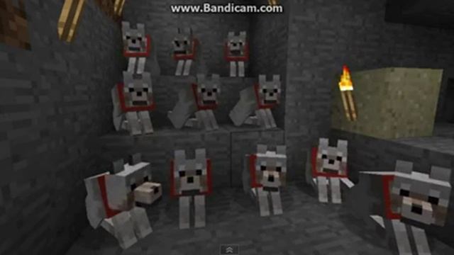 Прикольные няшные собачки (-_-) смотреть онлайн