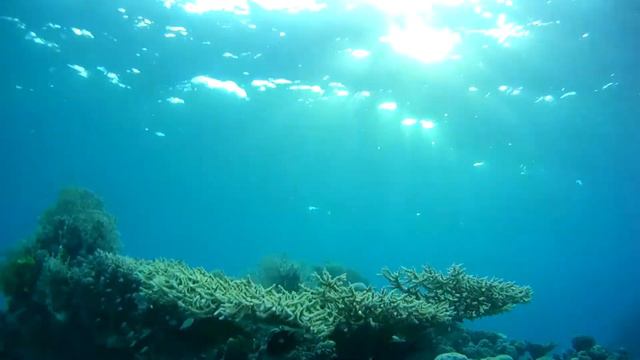 Красное море 2018 смотреть онлайн