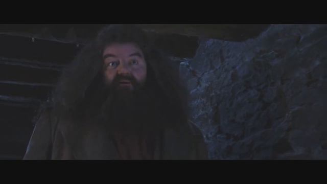 Хагрид проучил дурслей-(Гарри Поттер и философский камень)