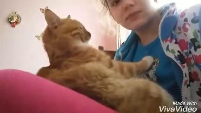 Влогмас #5.Пятница смотреть онлайн
