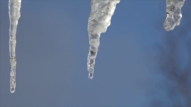 Весенняя капель   видео для монтажа