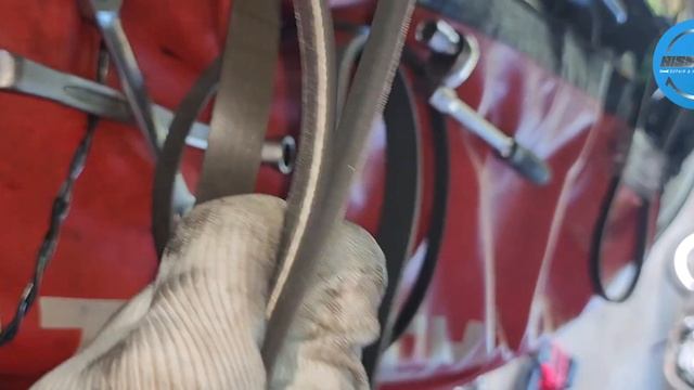 Procedure How To Replace Belt Nissan Navara,nissan Terra And Nv350 Yd25 Engine