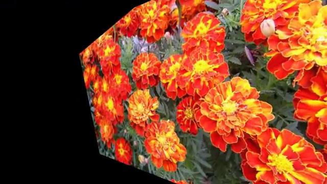 Открытка - Цветочная Мозаика / Postcard - Mosaic of flowers смотреть онлайн