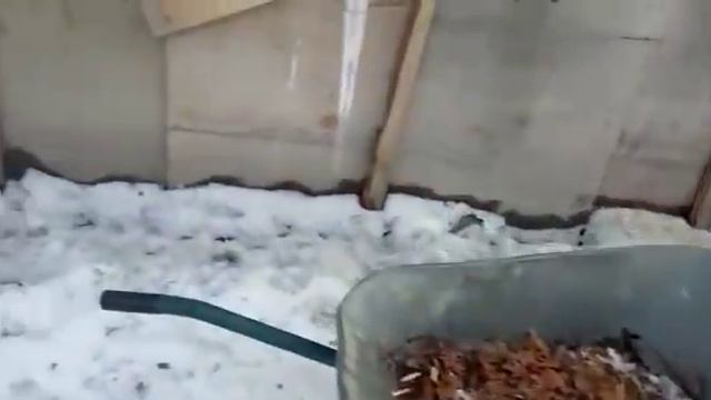 А ВОТ И ХВОСТИКИ - АЛТАЙСКИЕ 👍 смотреть онлайн