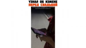 Узнал об измене перед свадьбой