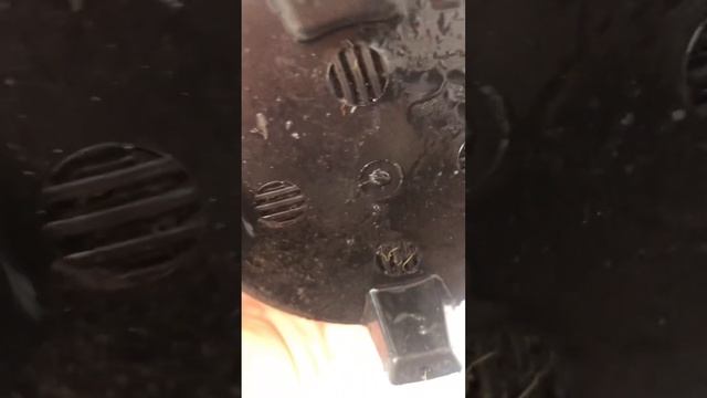 #65. Горшок с автополивом. Особенности использования. смотреть онлайн