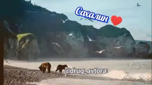 пожелания мира, любви и добра! мои стихи. смотреть онлайн