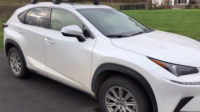 2020 Lexus NX300h Walkthrough And Review