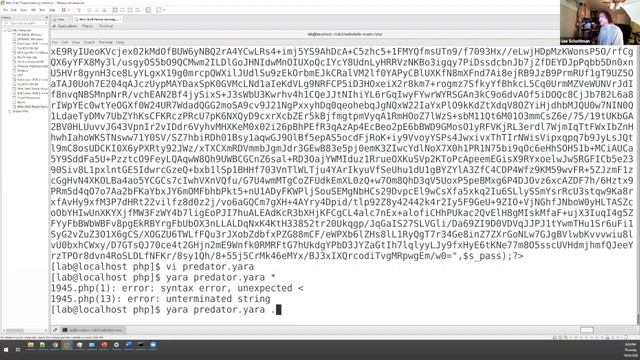 Web Shell Hunting with Joe Schottman смотреть онлайн
