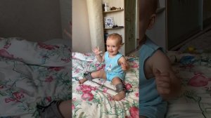 Шина Виленского