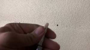 3 способа как вытащить дюбель из стены