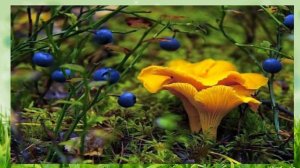 4 художника. Лето