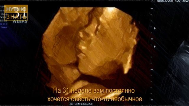 31 неделя беременности. Развитие плода. УЗИ в 3D. Что чувствует беременная. Как выглядит ребенок смотреть онлайн