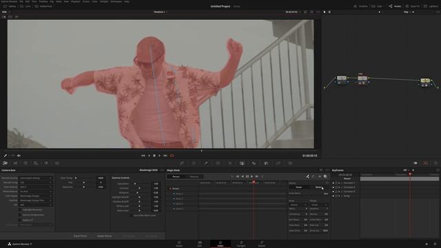 How to Use Magic Mask in Davinci Resolve смотреть онлайн