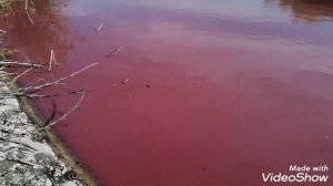 Розовое озеро в Самарской области. Загадочное и не обьяснимое.