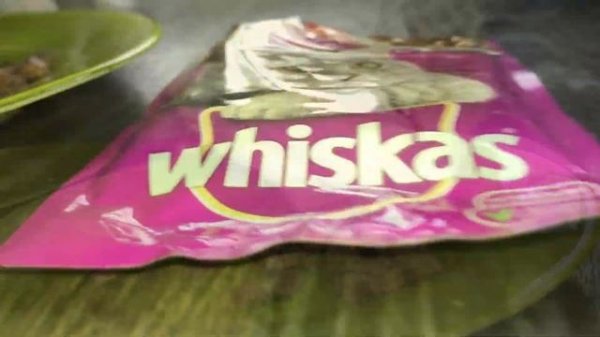 PET FOOD BATTLE ? WHISKAS vs. FELIX ? Which one does CAT VISKAS take?