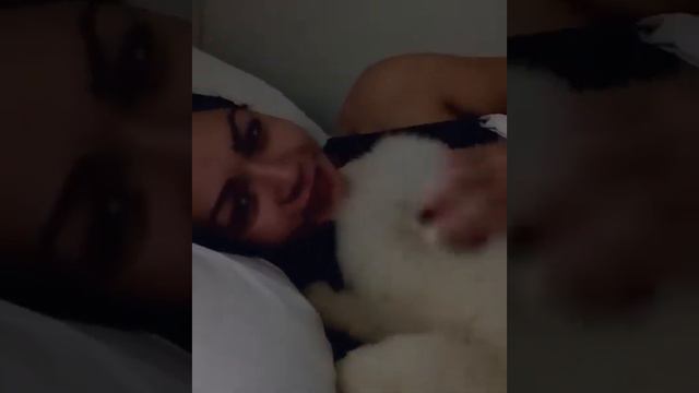 Щенок самоеда будит утром хозяйку) смотреть онлайн