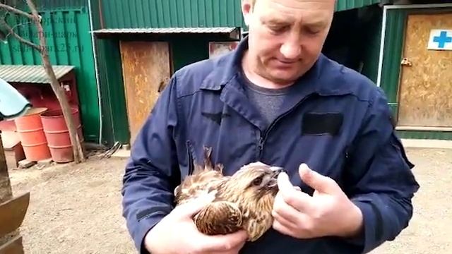В ПРИМОРСКИЙ САФАРИ-ПАРК ПОСТУПИЛ КАНЮК ОБЫКНОВЕННЫЙ смотреть онлайн