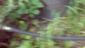 Водяной насос ВИХРЬ ПН-900 Обзор и советы