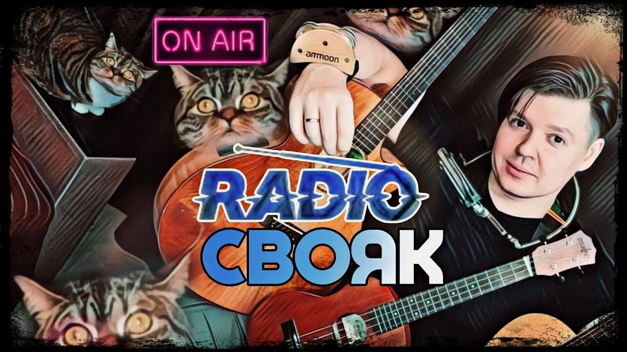 #276. Радио СВОЯК! Песни для вас под гитару. #shorts смотреть онлайн