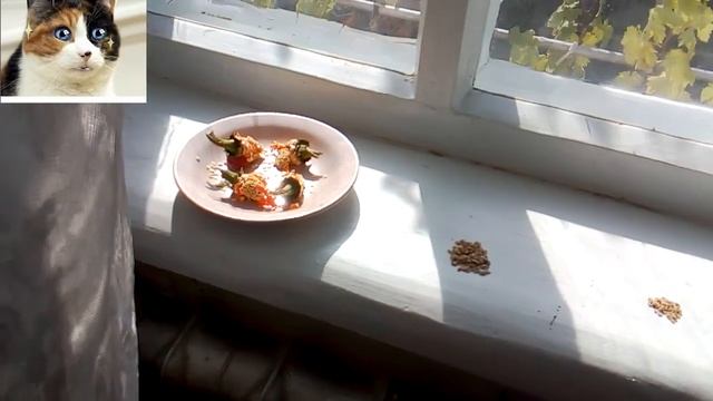 Как собрать семена перца. Заготовка семян перца. смотреть онлайн