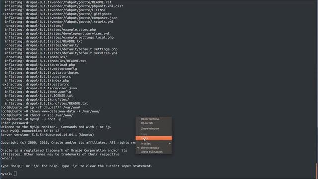 How To install Drupal with lighttpd Web server on ubuntu 14 смотреть онлайн