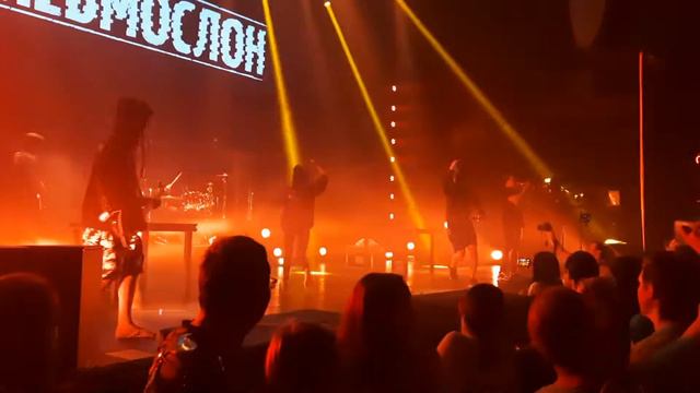 Пневмослон - Пошло всё в жопу, сяду на коня (Гигант Холл 10.06.21) смотреть онлайн