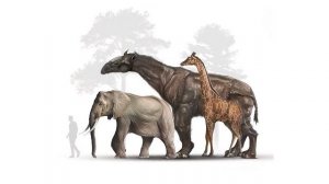 Индрикотерий. Гигантский предок носорога. Вымершие животные. Видео про животных