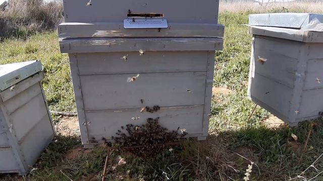 Нужен ли леток в верхнем корпусе. смотреть онлайн