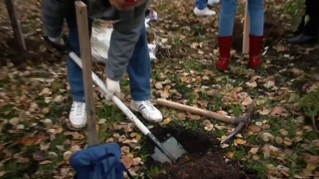 Подари-Дерево + Терморос = плодовый сад на ВВЦ смотреть онлайн
