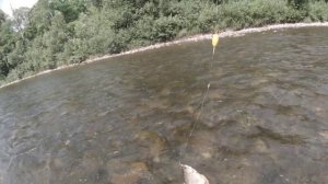 РЫБАЛКА НА РЕКЕ АНЮЙ.ТРОФЕЙНЫЙ ХАРИУС.