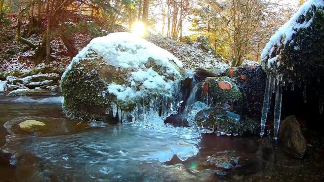 🌿Background sounds for sleep, Nature sounds, Gentle stream, White noise, WonderfulRelaxation. смотреть онлайн